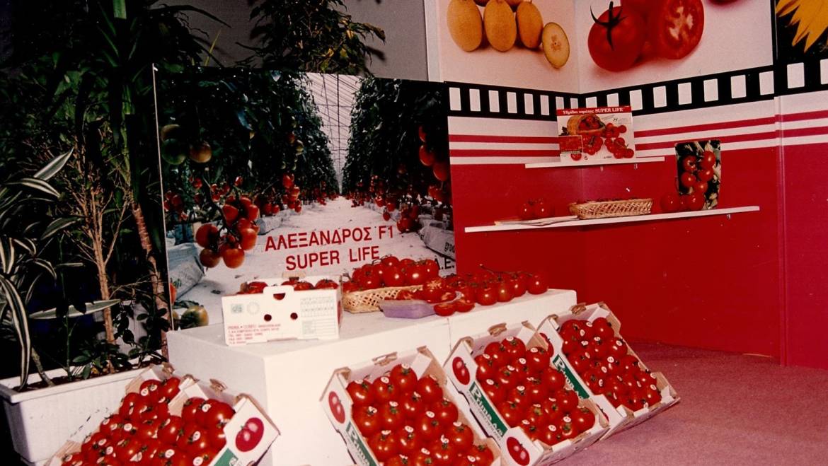 The First branded Tomato – Prima Greenhouses