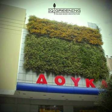 The 1st Vertical Hydroponic Vertical Wall Great Surface in Greece in Super Market DOUKAS in New Smyrna