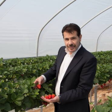 ΘΑΝΑΣΗΣ ΤΣΑΧΑΛΟΣ: Ο άνθρωπος που κατάφερε να μετεξελίξει τη φράουλα της Ηλείας σε προϊόν προστιθέμενης αξίας